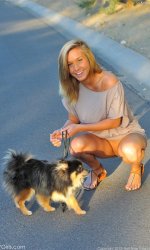   Devonki.net     