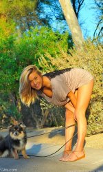             Devonki.net     