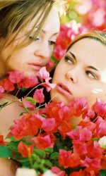                             Devonki.net      