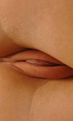                                           Devonki.net    