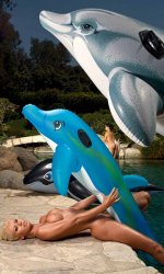 ����������� �������                                          �������� ������                                          Devonki.net ����������� ������� � �������� ��������